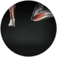 Recupera tu movilidad