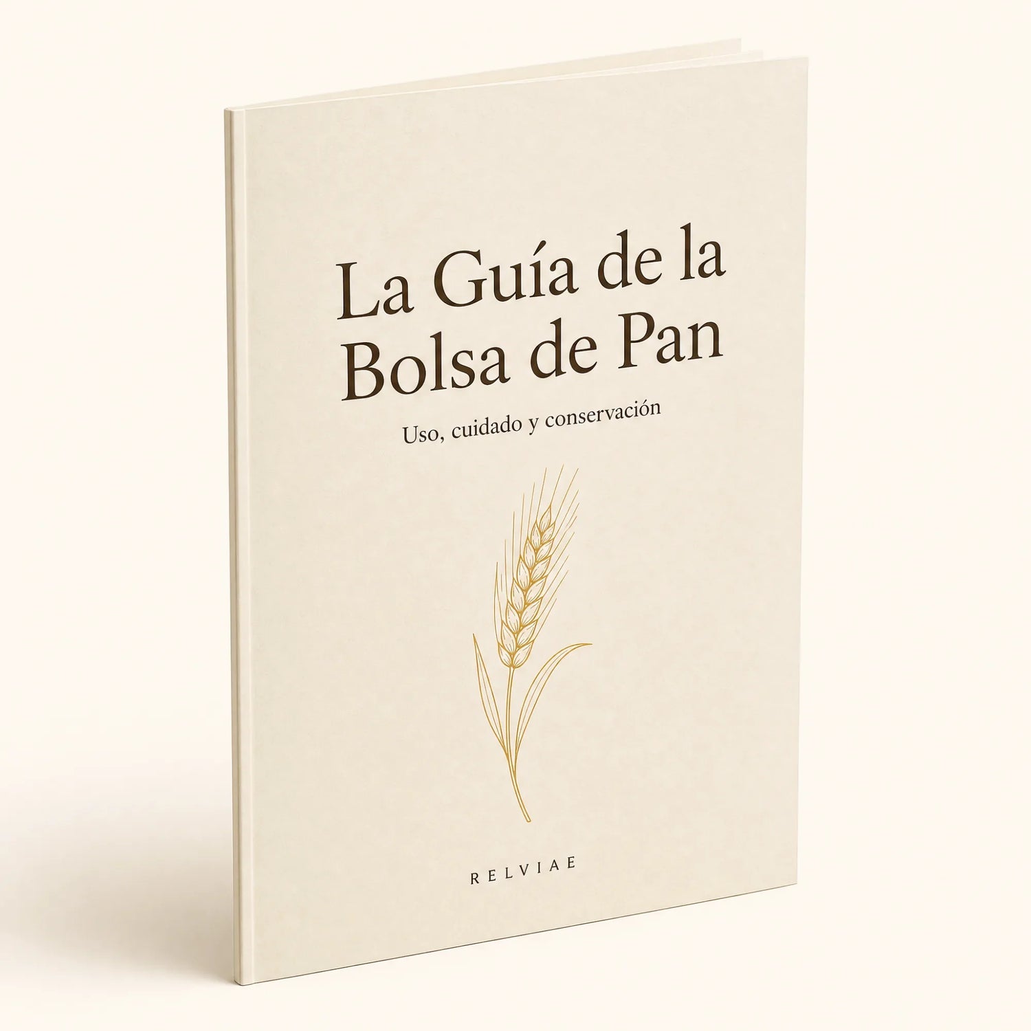 guia-bolsa-pan-pdf 1
