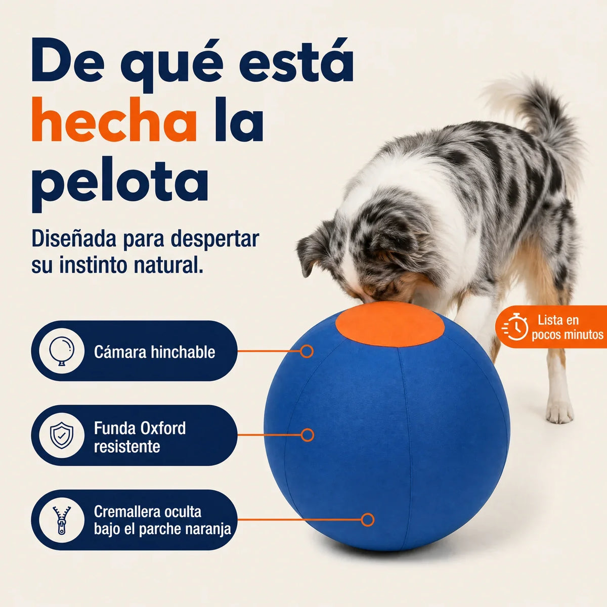 Relviae Pelota Perseguidora para Perros