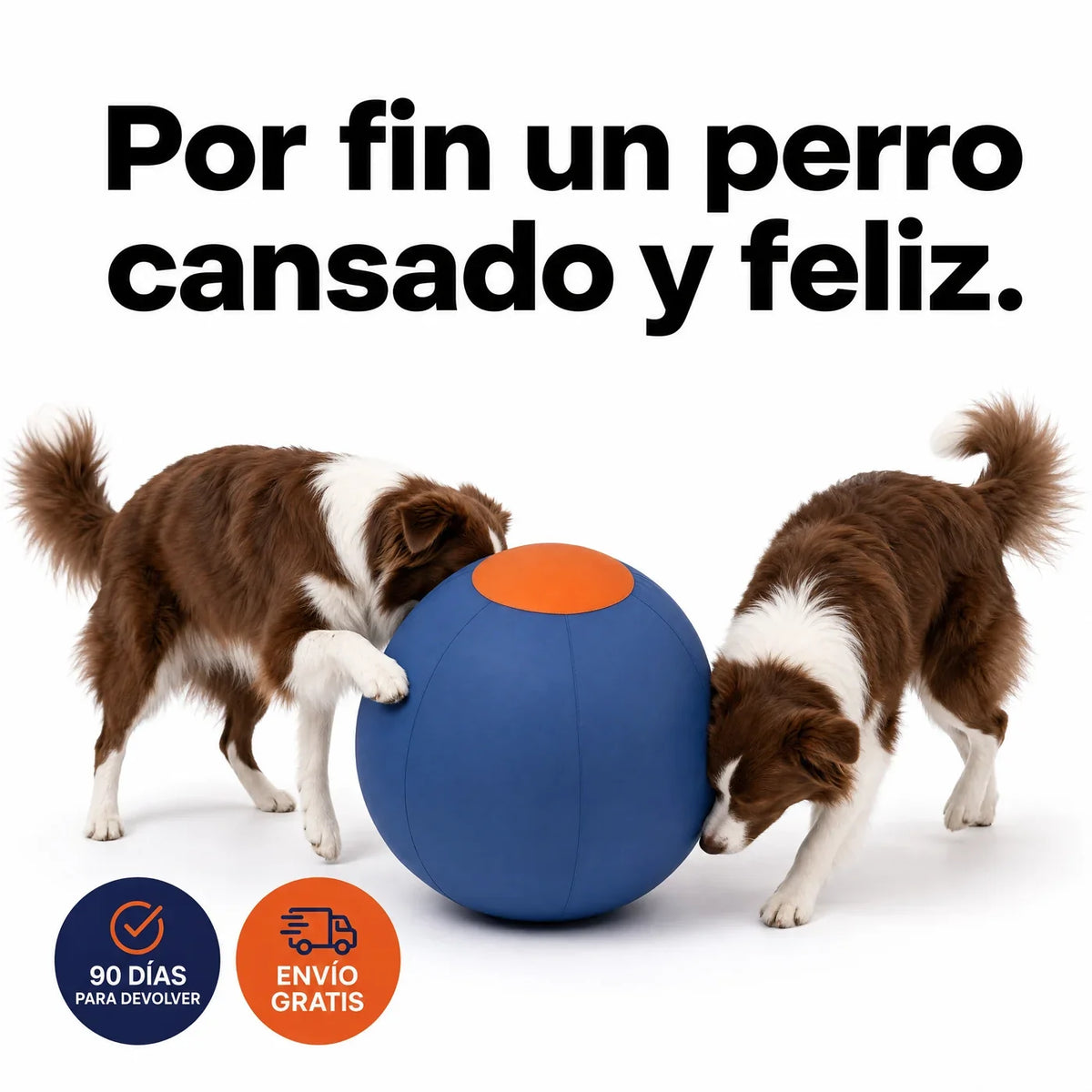Relviae Pelota Perseguidora para Perros